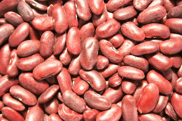 Similar image 188970