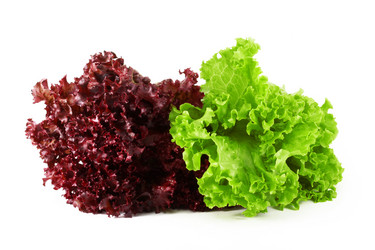 Similar image 188981