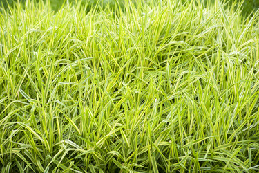 Similar image 188996