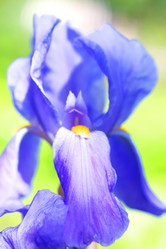 Similar image 188999