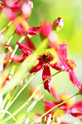 Similar image 189001