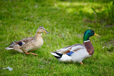 Similar image 189004