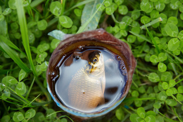 Similar image 189017