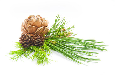 Similar image 189020