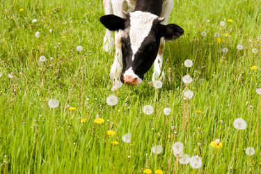 Similar image 189021