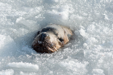 Similar image 189022