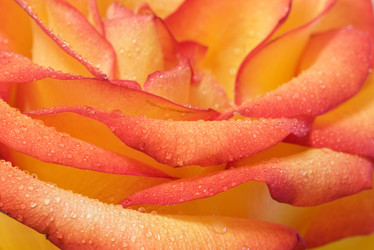 Similar image 189023