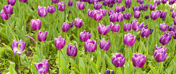 Similar image 189092