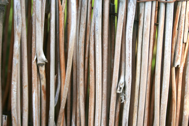 Similar image 189132