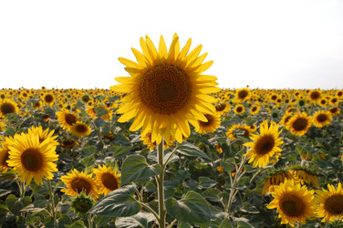 Similar image 189146