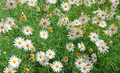 Similar image 189166