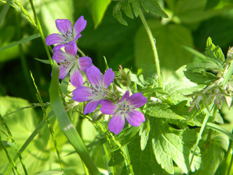 Similar image 189200