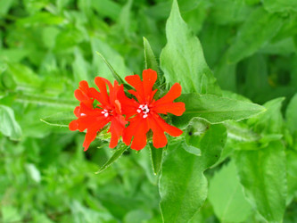 Similar image 189214