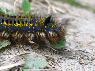 Similar image 189220