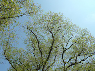 Similar image 189227