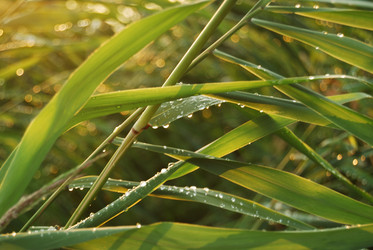 Similar image 189239