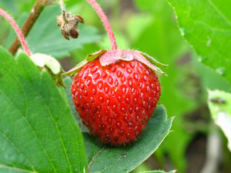 Similar image 189258