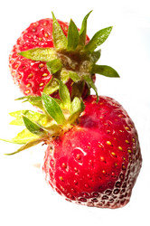 Similar image 189259