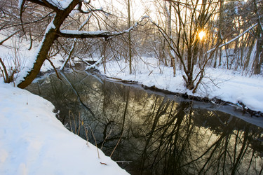 Similar image 189272