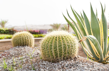 Similar image 189307