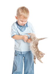 Similar image 189323