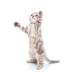 Similar image 189326