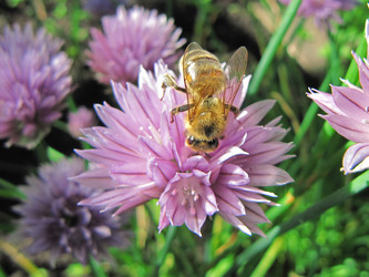 Similar image 189331