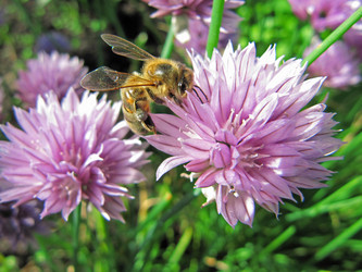 Similar image 189332