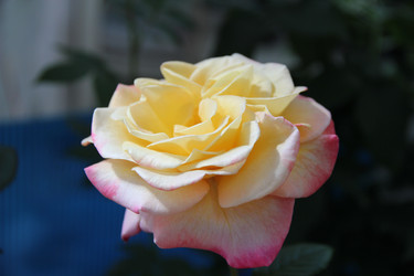 Similar image 189361