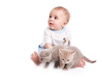 Similar image 189362