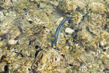 Similar image 189373