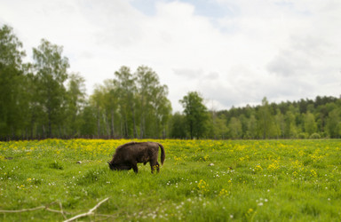 Similar image 189486