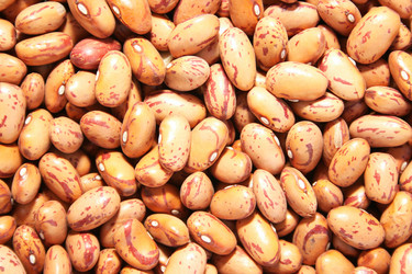 Similar image 189508