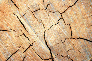 Similar image 189511