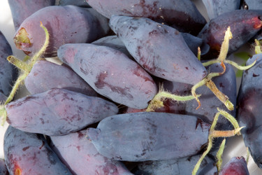 Similar image 189512