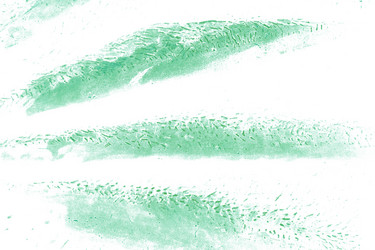 Similar image 189517