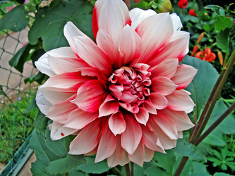 Similar image 189518