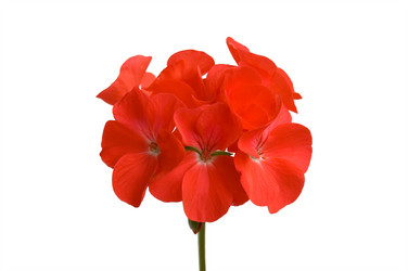 Similar image 189519