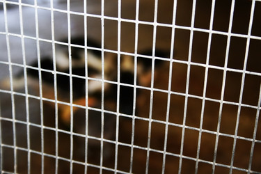 Similar image 189521