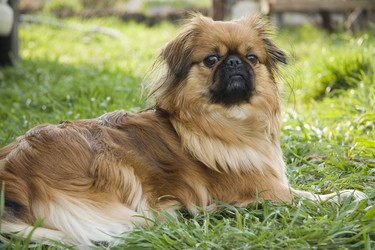 Similar image 189536