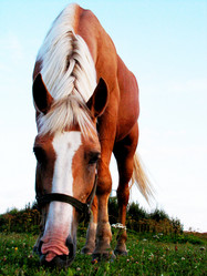 Similar image 189537