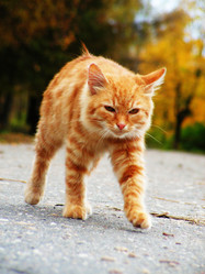 Similar image 189538