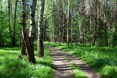 Similar image 189557