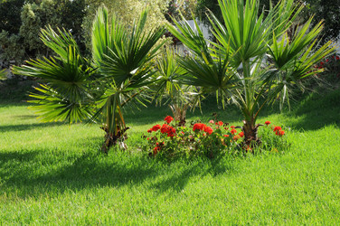 Similar image 189558