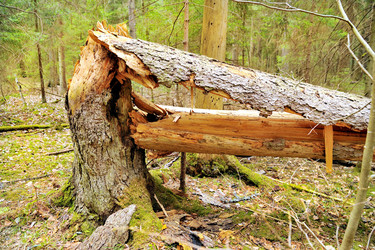 Similar image 189595