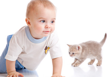 Similar image 189616