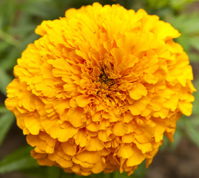 Similar image 189619