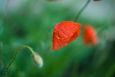 Similar image 189693