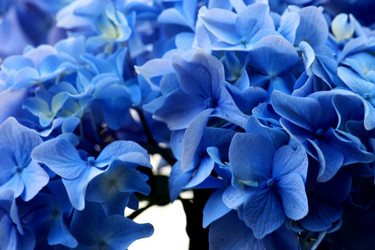 Similar image 189697