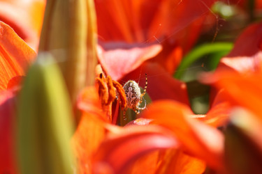 Similar image 189731